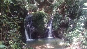 Ein natürlicher Wasserfall in bewaldeter Landschaft mit einem kleinen Becken am Fuße.