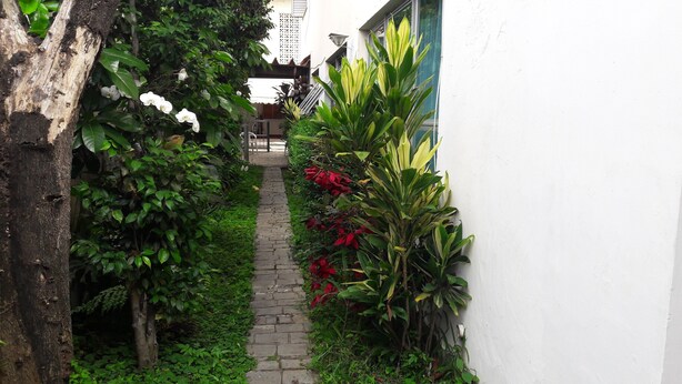 Un sendero estrecho bordeado por exuberante vegetación y un edificio blanco.