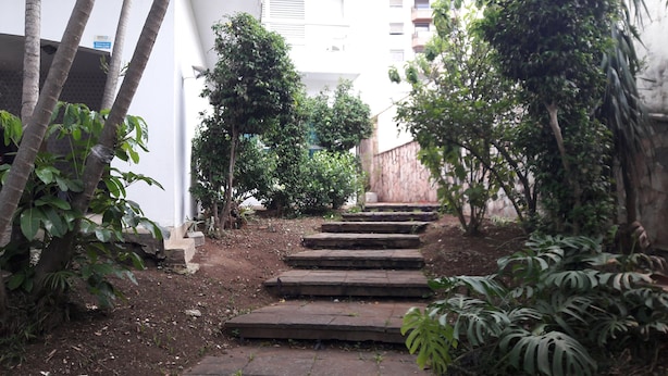 Un escalier étroit en pierre mène à l’entrée d’un bâtiment, qui est entouré d’une végétation luxuriante et d’arbres.