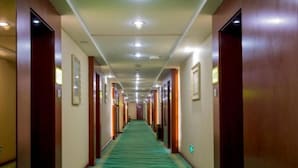Un couloir d’hôtel avec une moquette verte, des portes en bois et des tableaux encadrés accrochés aux murs.