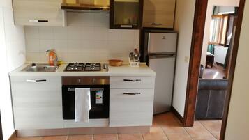 Loft, 2 kamar tidur, teras | Dapur pribadi