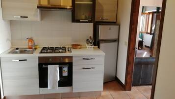 Loft, 2 Bedrooms, Terrace | Private kitchen