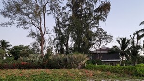 A beachfront property with a large tree, a house, and various tropical plants. - Residence La Colombe Vacation Rentals (Mont Choisy)