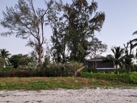 Una propiedad frente al mar con un árbol grande, una casa y diversas plantas tropicales.