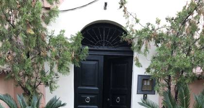Camelia Flat Door n7