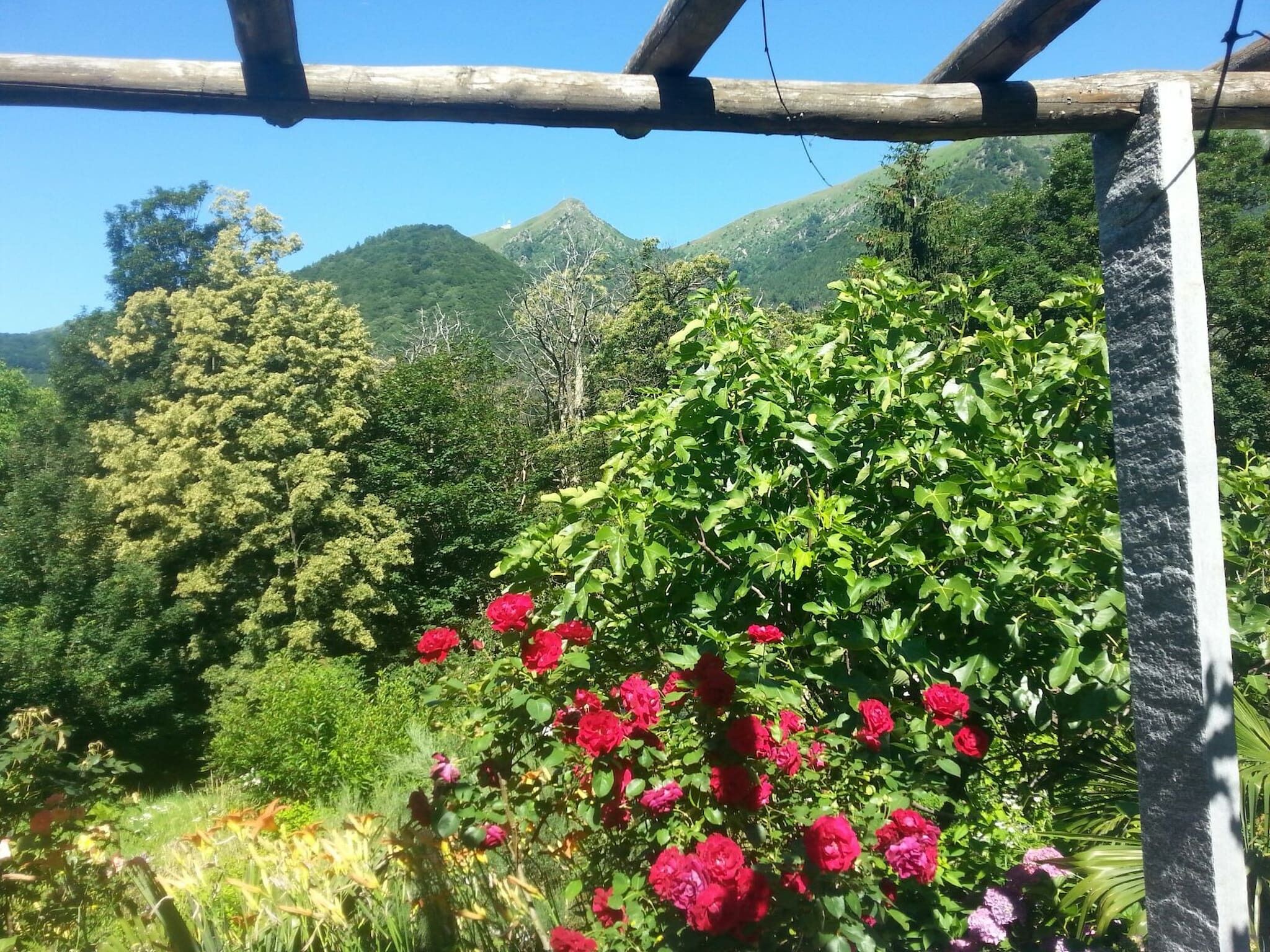 Rumah, 2 kamar tidur, patio | Taman