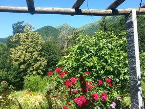 獨棟房屋, 2 間臥室, 庭院 | 花園