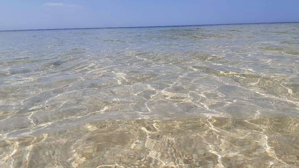 Beach - Perfect Stay in Octopus 2 Bedroom House 100 From the Beach (Sinanché)
