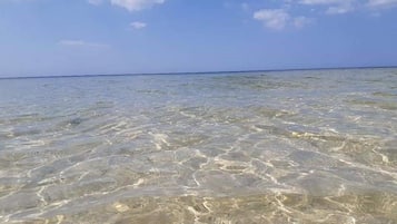 Bãi biển