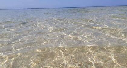 Perfect Stay in Octopus 2 Bedroom House 100 From the Beach