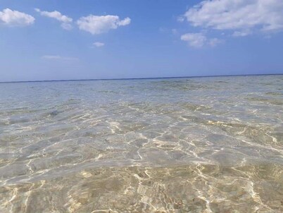 Perfect Stay in Octopus 2 Bedroom House 100 From the Beach