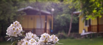 Ideal Bungalow for 2 or 3 Guests Surrounded by a Lovely Garden