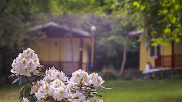 Bungalow, 1 Schlafzimmer, Raucher, Balkon | Garten