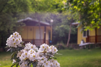 Homely Bungalow fro 2 or 3 Persons