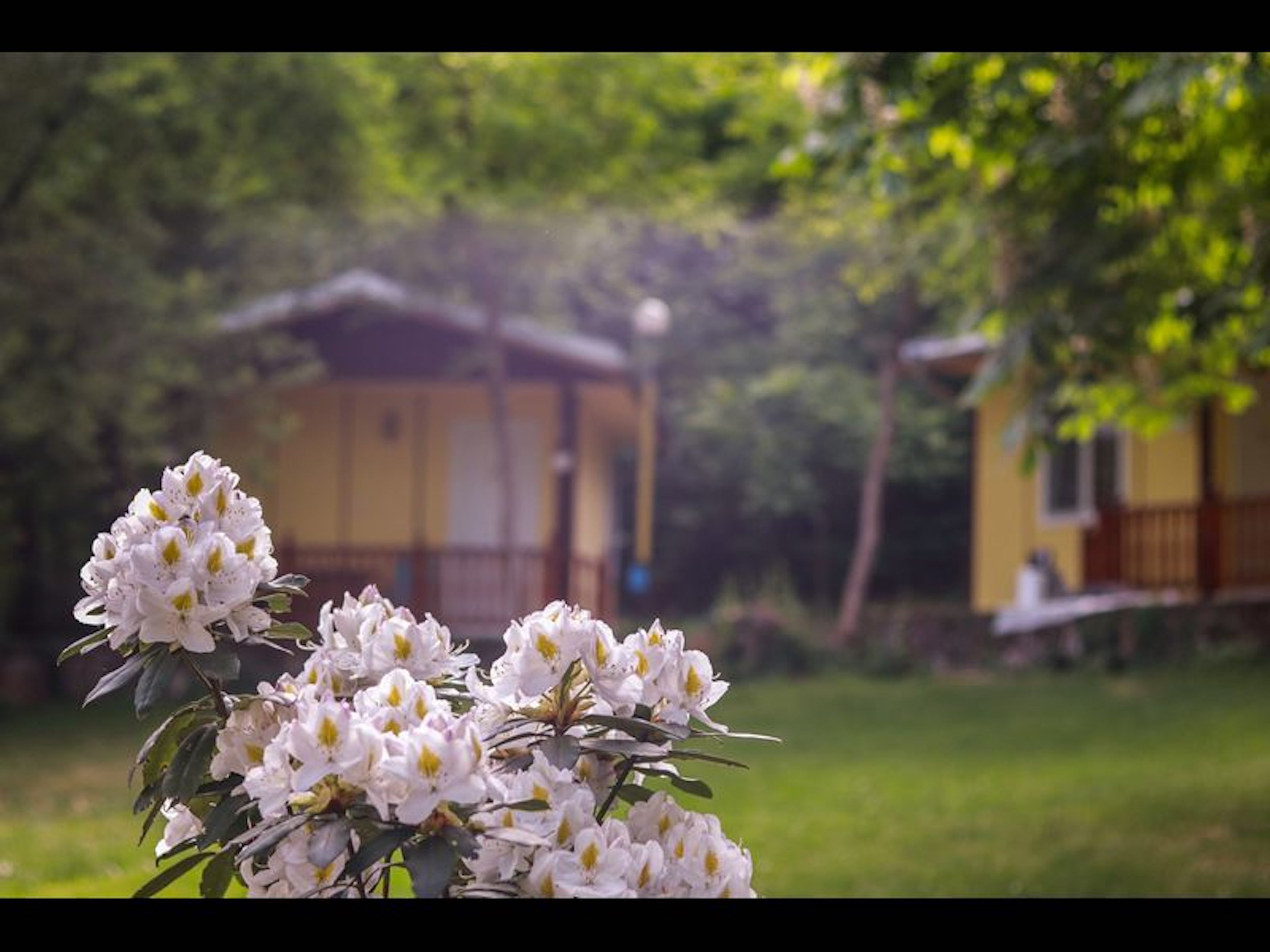 บังกะโล, 1 ห้องนอน, สูบบุหรี่ได้, ระเบียง | ลานระเบียง/นอกชาน