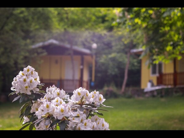 Bungalow, 1 Bedroom, Smoking, Balcony | View from property - Nice Bungalow in Petrich (Petrich)