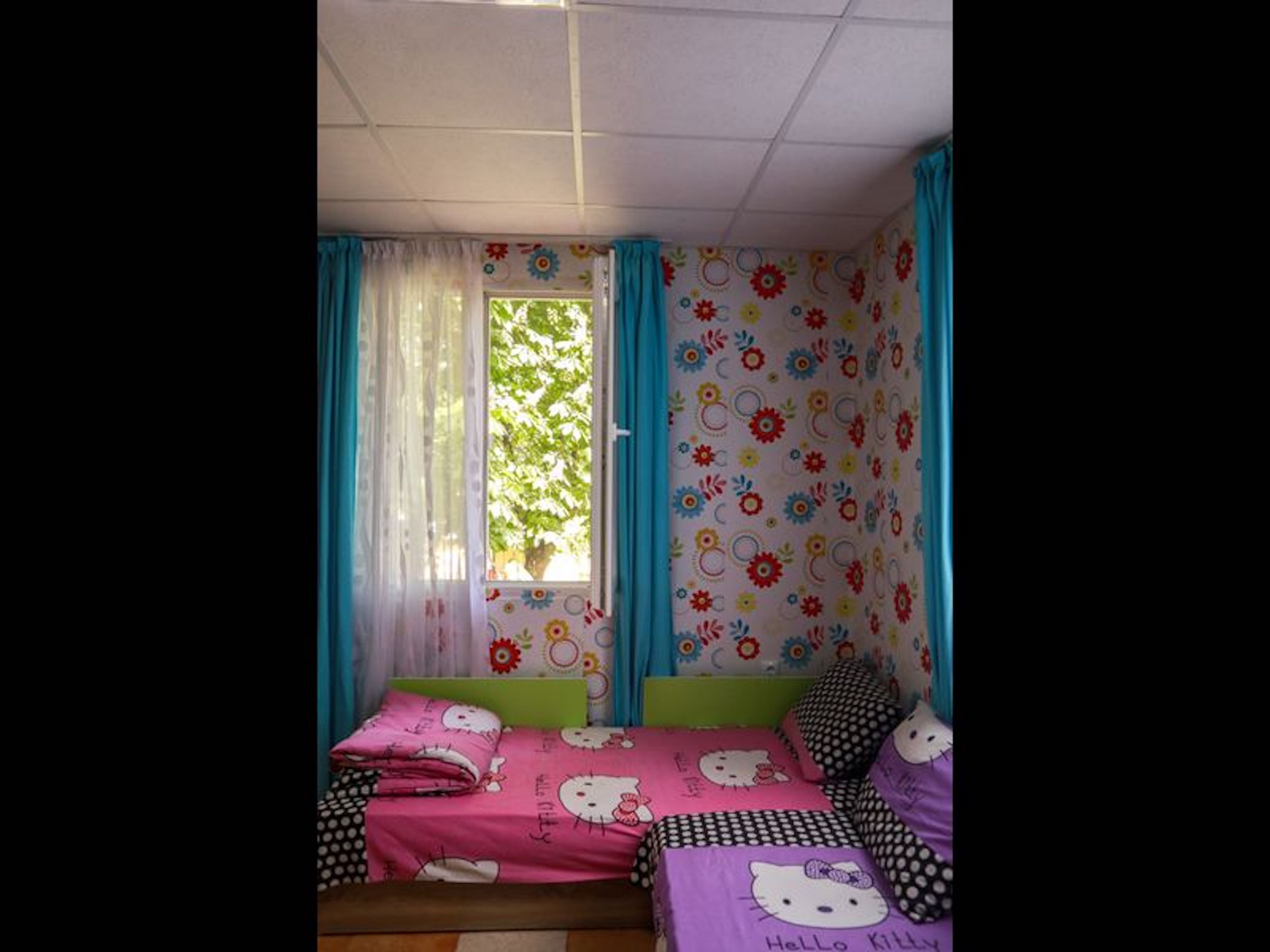 Cosy Bungalow for 2 or 3 Persons