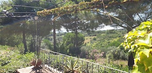 A garden with a variety of plants and trees, a metal railing, and a view of a hilly landscape in the background. - Tuscan Villa, Private Pool and Tennis Court Garden,wi-fi, Ac, Pet Friendly (Rosignano Marittimo)