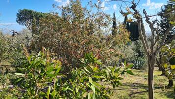 Villa, 5 Schlafzimmer, eigener Pool, Gartenblick | Unterkunftsgelände