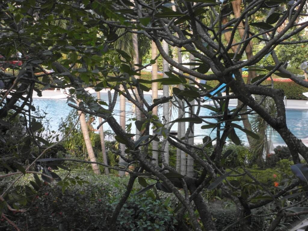 Appart'hôtel, 1 chambre | Enceinte de l’hébergement