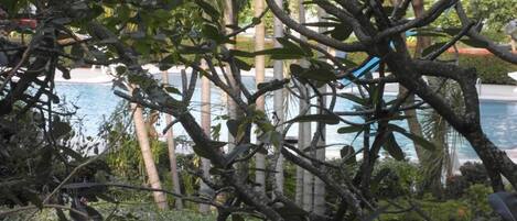 Condo, 1 Bedroom | Property grounds