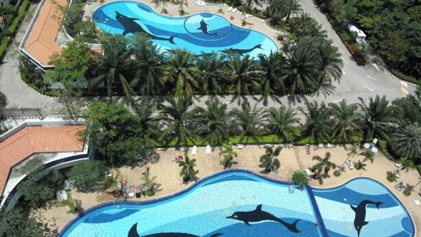 Une piscine décorée de fresques représentant des dauphins, entourée de palmiers et bordée d’une plage.