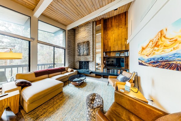 TV, fireplace, books