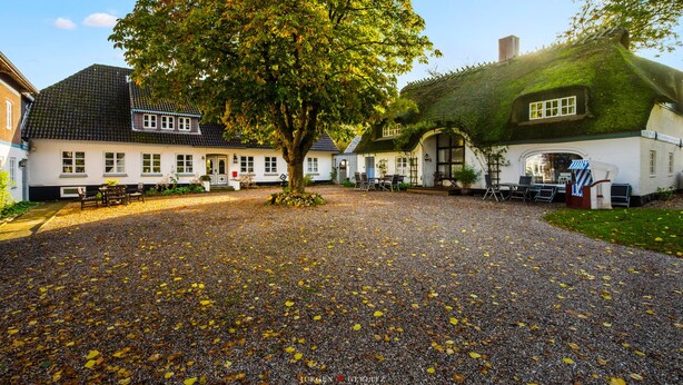 A courtyard with a gravel path, a large tree, and traditional buildings with thatched roofs.