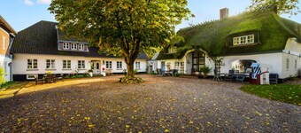 Sleeping Beauty II - Thatched-roof house, terrace, garden furniture, shower room