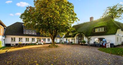 Sleeping Beauty II - Thatched-roof house, terrace, garden furniture, shower room