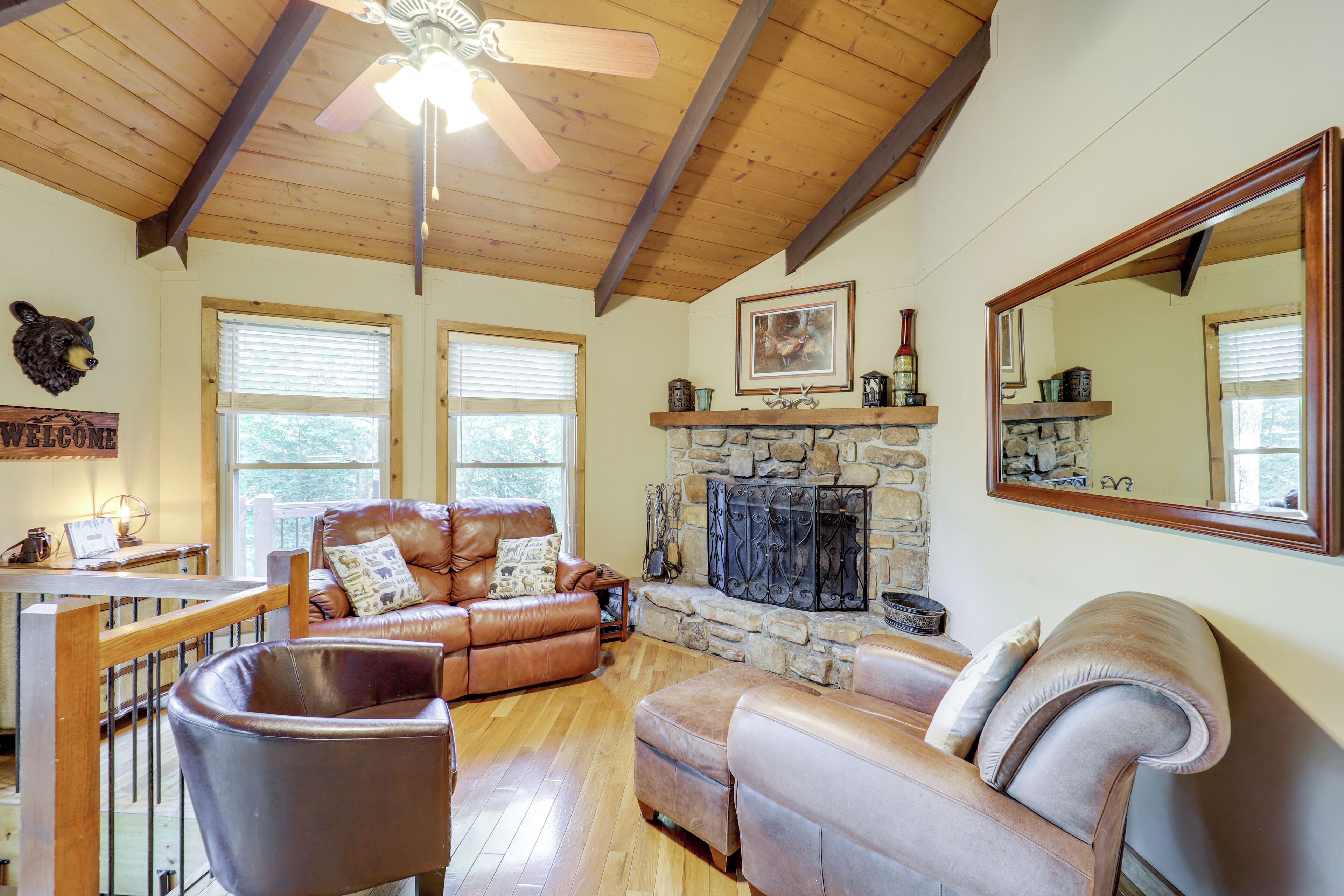 TV, fireplace, video-game console, DVD player
