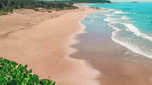Une plage à l’eau claire, avec un rivage sablonneux et une végétation clairsemée.