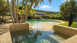 Une piscine à bord incurvé, entourée de palmiers et d’une clôture, avec un bâtiment visible au loin.