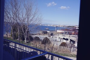 Vue depuis le balcon