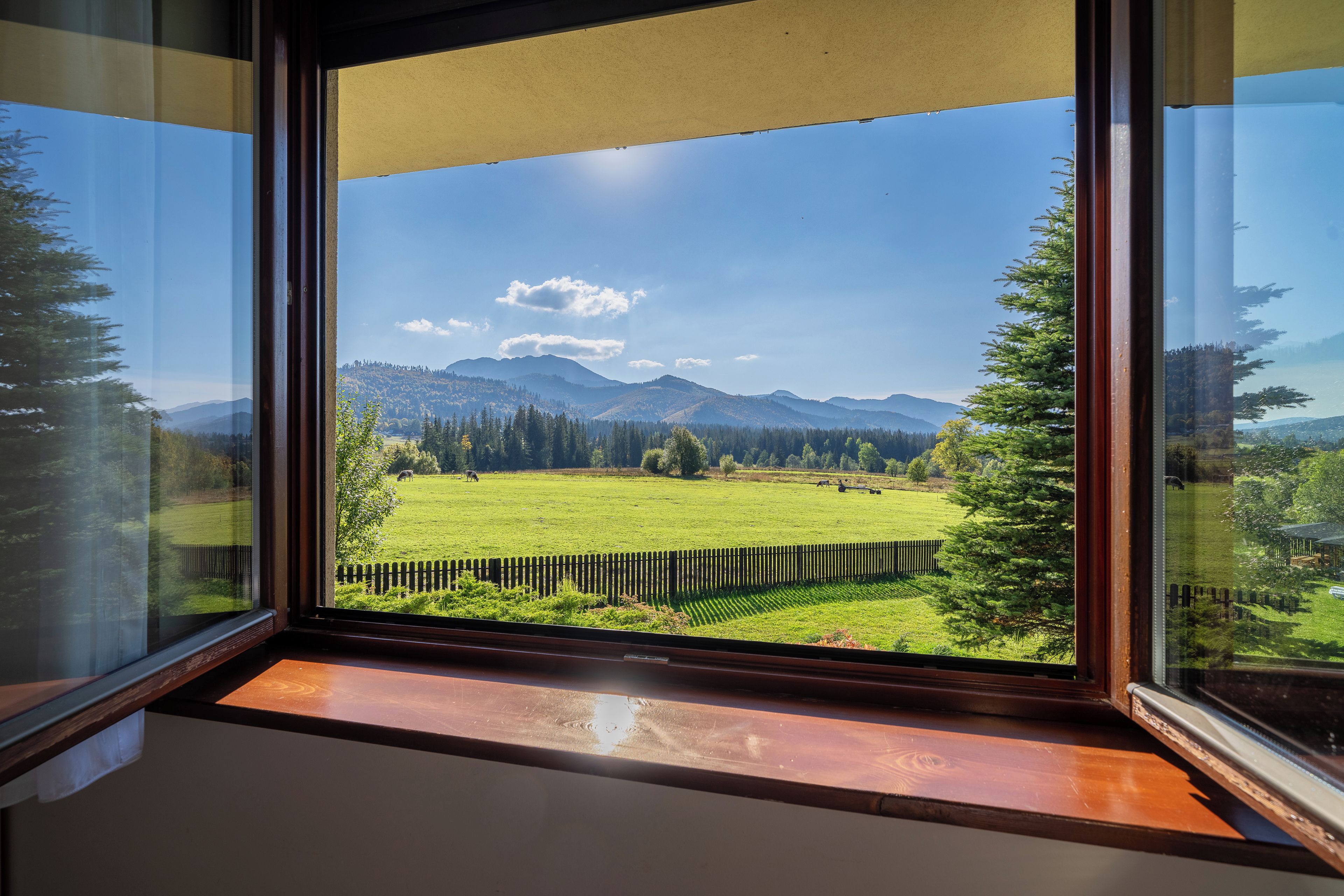 Una ventana con vistas a un campo verde y montañas.