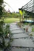 Um caminho de jardim com pedras, cercado por diversas plantas e uma estrutura de estufa.