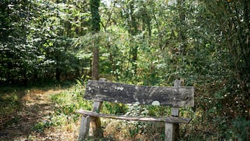 Um banco de madeira numa área arborizada.