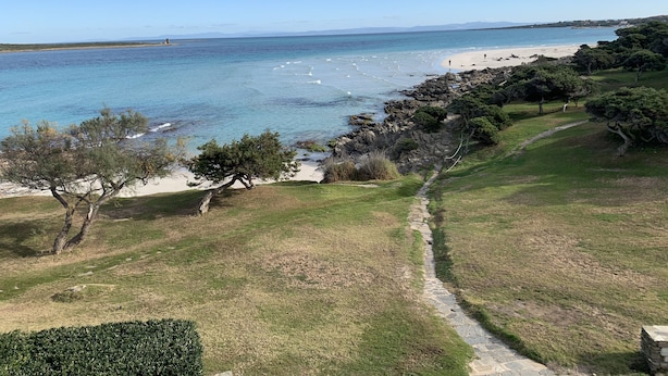 Un paysage côtier avec un sentier menant à une plage, entouré d’arbres et de végétation.