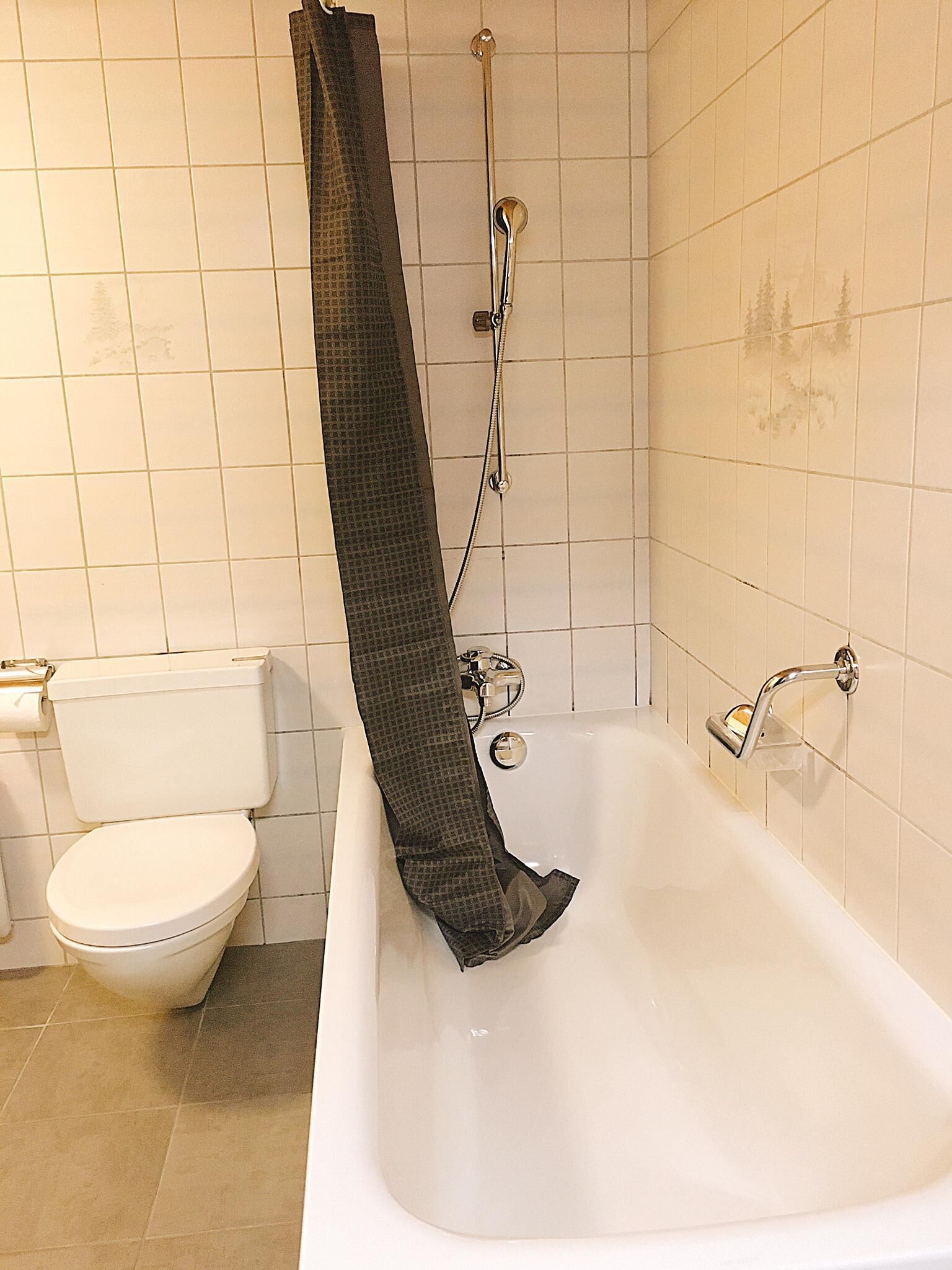 Dusche, Bidet, Handtücher, Toilettenpapier
