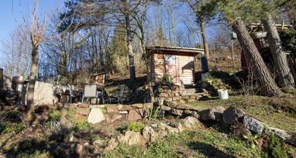 Naturally Kirchner - Ecological and family-friendly in the old town by the forest