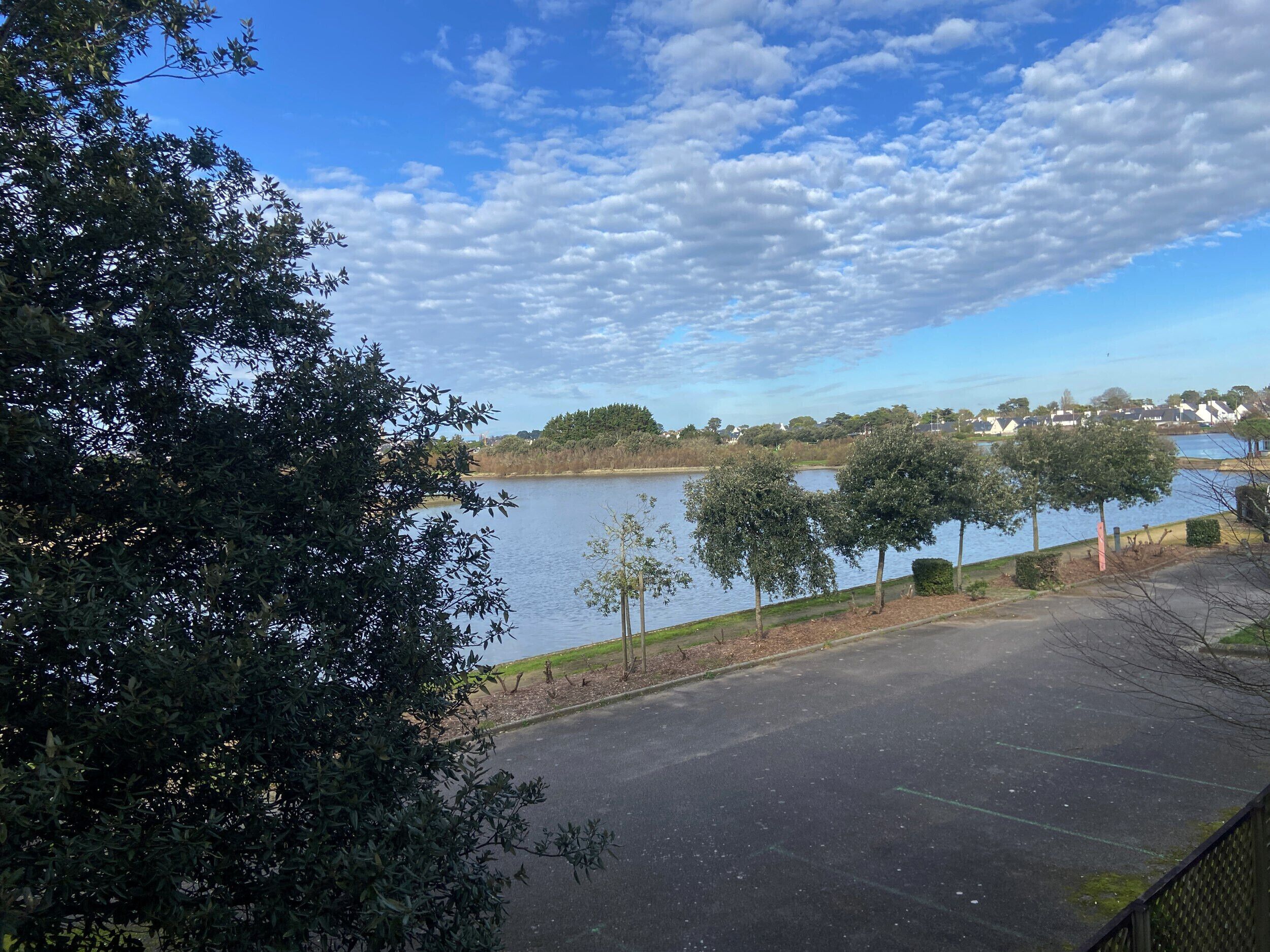 A parking lot adjacent to a lake with trees and a clear sky.