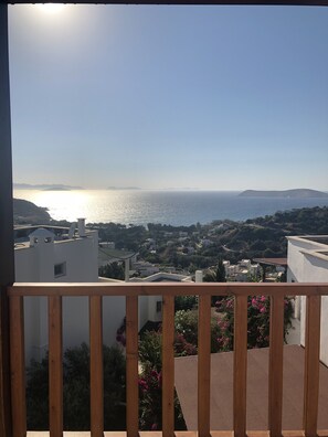 Property grounds - Beautiful Detached Villa with Sea View in Gümüşlük, Bodrum (Gümüşlük)
