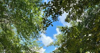 Casita w/ Swimming Pond_Sand Volleyball Access