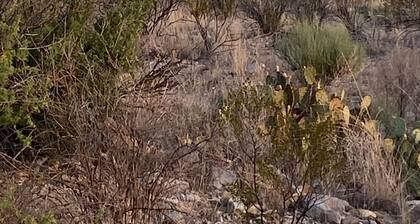 Christmas Mountains Ranch: Classic 2br/1bth Cabin with Spacious Wrap Around Porc