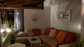 TV, fireplace, table tennis, books