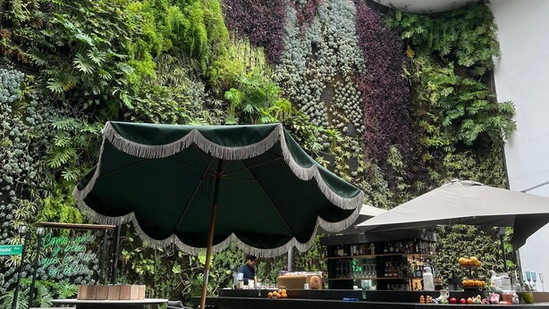 Un área de estar al aire libre con una sombrilla verde, sillas de mimbre y una barra con una variedad de botellas y aperitivos.