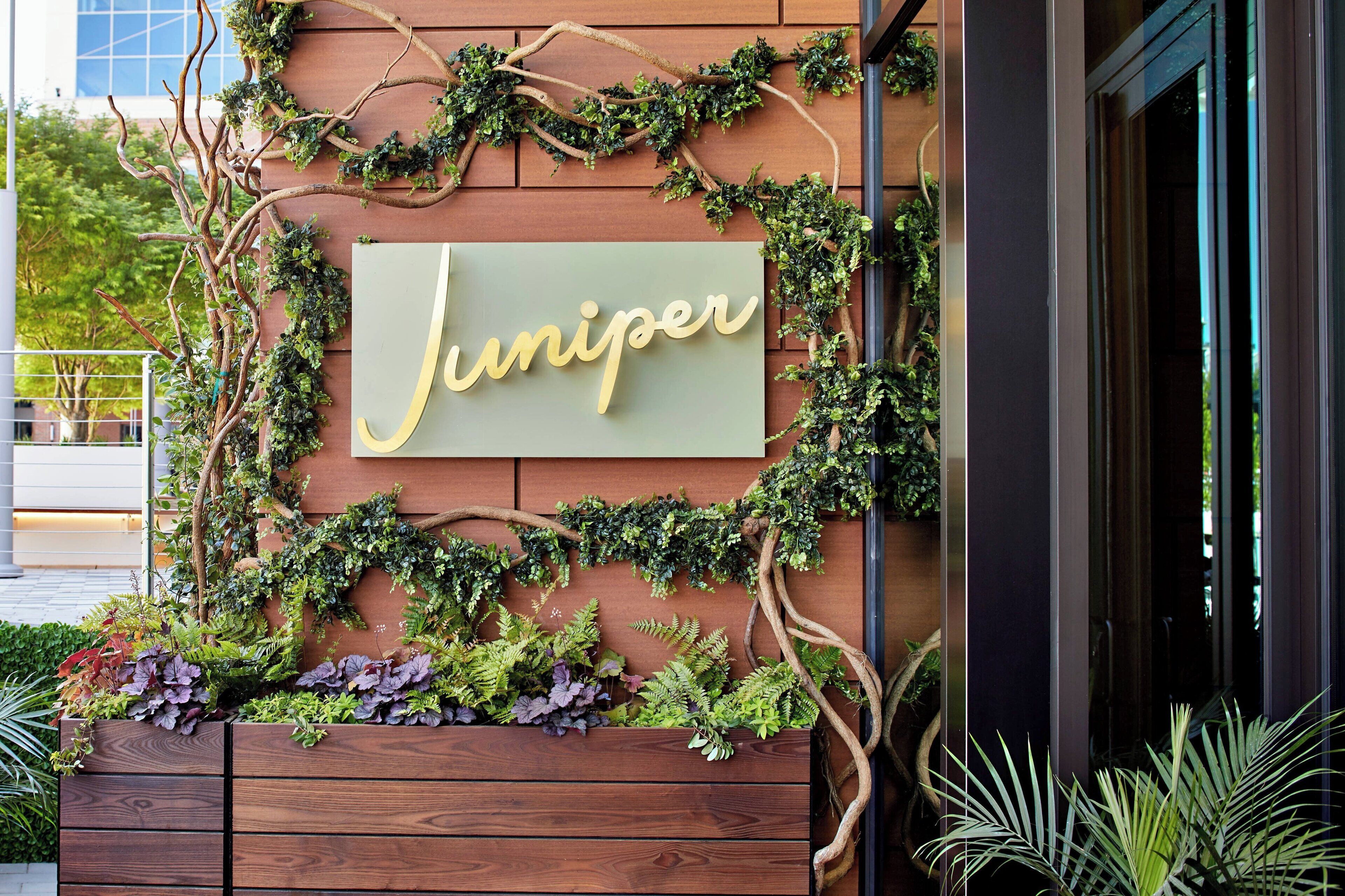 3 restaurants, spanish cuisine