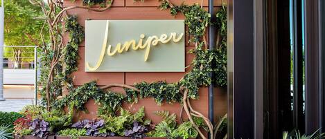 Un letrero con la palabra 'Juniper' en una pared de madera, rodeado de follaje y enredaderas.