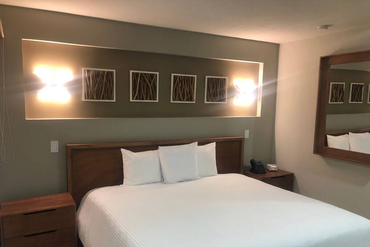 Standard king | Minibar, desk, blackout drapes, WiFi (free)