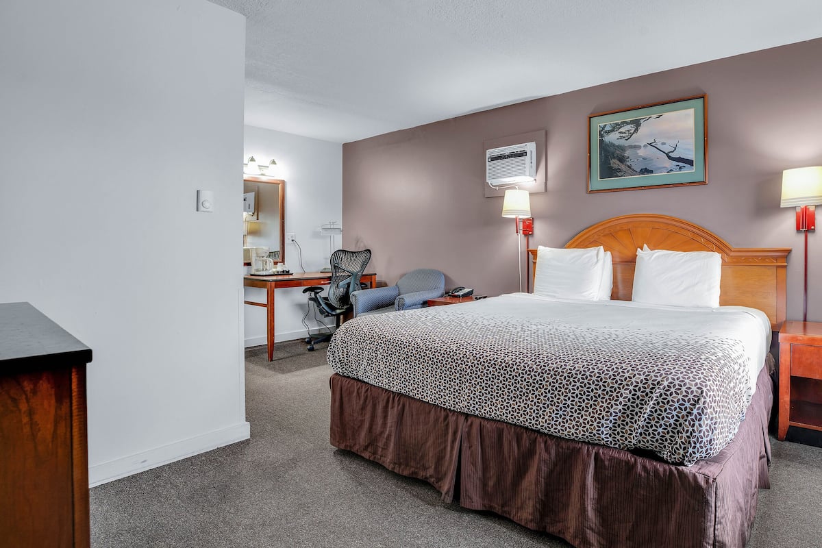 Kamer, 1 kingsize bed | Een bureau, een laptopwerkplek, verduisterende gordijnen